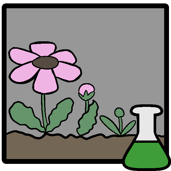 A pink flower in three development stages, from bud to bloom, in a frame with a green beaker in the corner.
